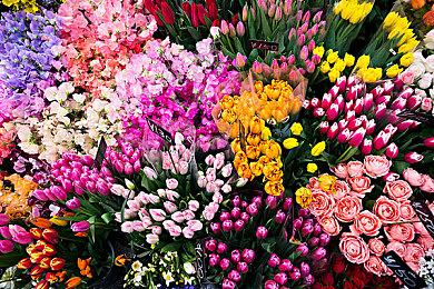 类银河恶魔城游戏《琳：最终之子》 现已在Steam平台正式推出